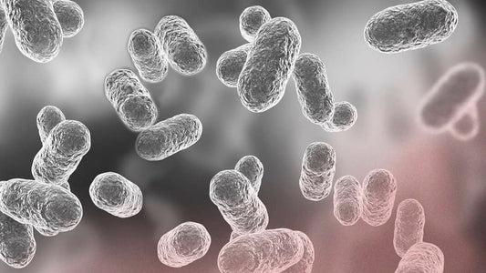 Microgalvanisme, bijoux & cicatrices : ces influences méconnues sur votre posture